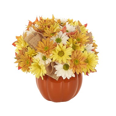 Country Pumpkin Daisy Delight